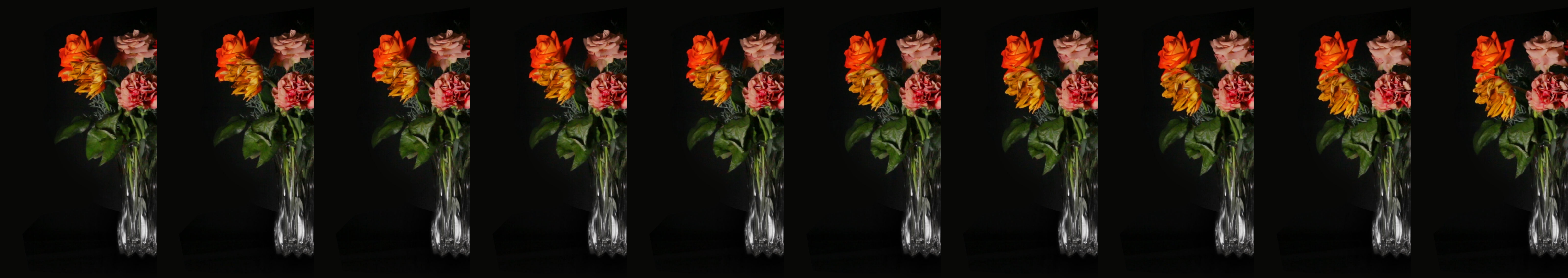 ヒトリエ IKI 【初回生産限定盤】 ヒトリエ IKI 初回生産限定盤 CD＋DVD IKI初回生産限定盤DVD付ヒトリエ